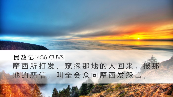 民 数 记 14:36 CUVS Bible Verse Image