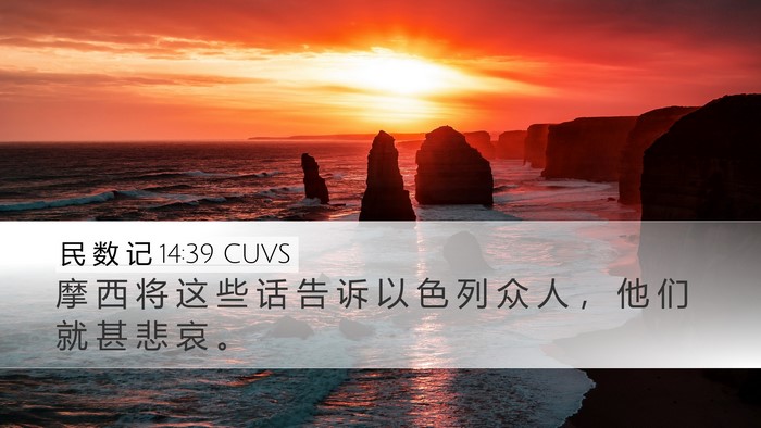 民 数 记 14:39 CUVS Desktop Wallpaper - 摩 西 将 这 些 话 告 诉 以 色 列 众 - Desktop Bible Verse Wallpaper