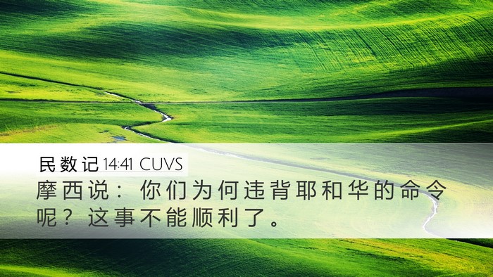 民 数 记 14:41 CUVS Bible Verse Image