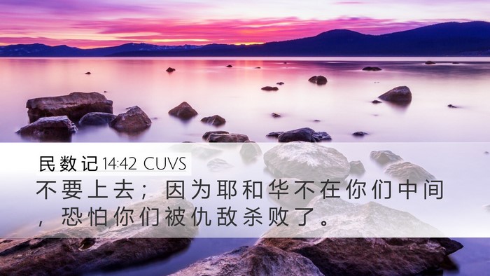 民 数 记 14:42 CUVS Desktop Wallpaper - 不 要 上 去 ； 因 为 耶 和 华 不 在 - Desktop Bible Verse Wallpaper