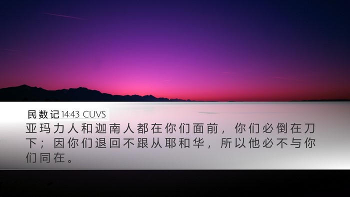 民 数 记 14:43 CUVS Bible Verse Image