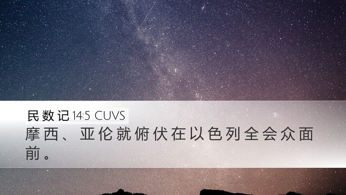 民 数 记 14:5 CUVS Desktop Wallpaper - 摩 西 、 亚 伦 就 俯 伏 在 以 色 列 - Desktop Bible Verse Wallpaper