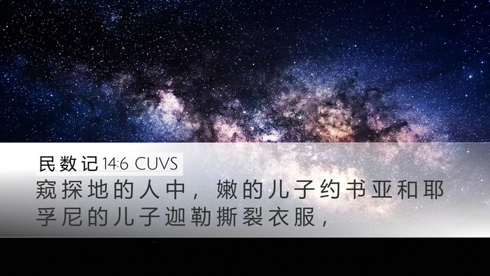 民 数 记 14:6 CUVS Bible Verse Image
