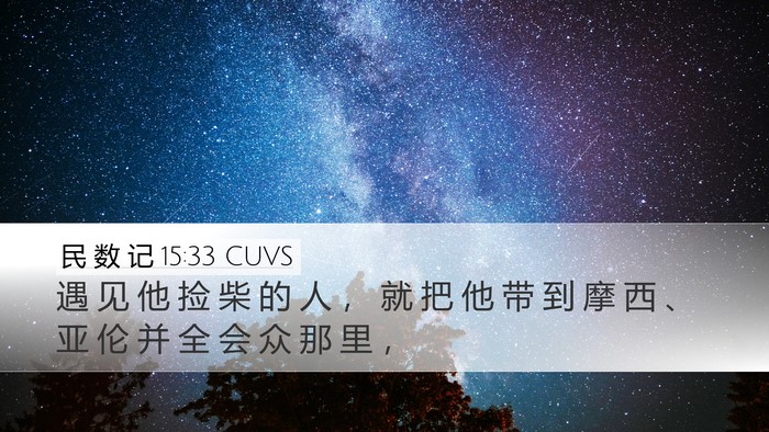 民 数 记 15:33 CUVS Bible Verse Image