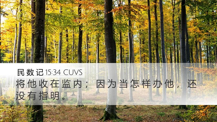 民 数 记 15:34 CUVS Bible Verse Image