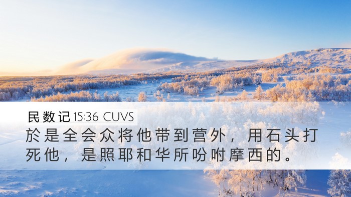 民 数 记 15:36 CUVS Desktop Wallpaper - 於 是 全 会 众 将 他 带 到 营 外 ， - Desktop Bible Verse Wallpaper