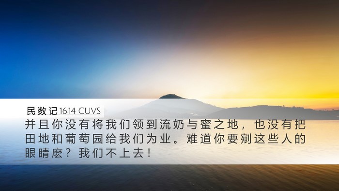民 数 记 16:14 CUVS Bible Verse Image