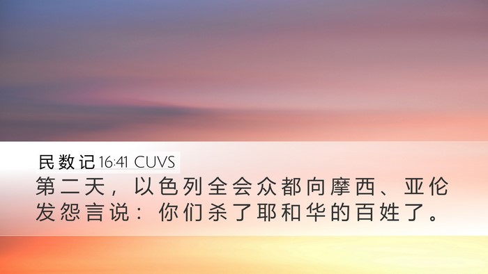 民 数 记 16:41 CUVS Bible Verse Image
