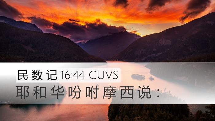 民 数 记 16:44 CUVS Bible Verse Image