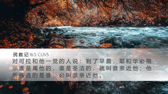 民 数 记 16:5 CUVS Bible Verse Image