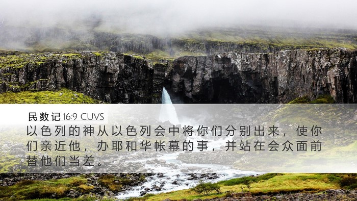 民 数 记 16:9 CUVS Bible Verse Image