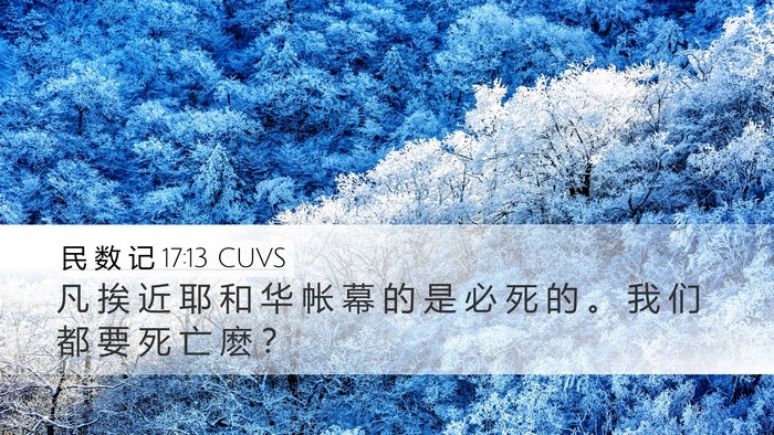 民 数 记 17:13 CUVS Bible Verse Image