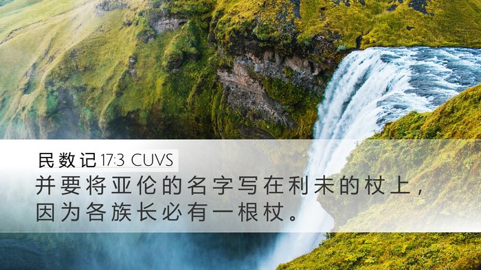 民 数 记 17:3 CUVS Desktop Wallpaper - 并 要 将 亚 伦 的 名 字 写 在 利 未 - Desktop Bible Verse Wallpaper
