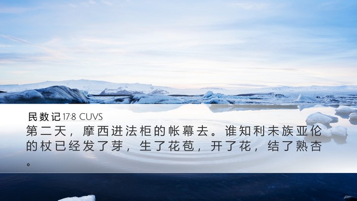 民 数 记 17:8 CUVS Bible Verse Image