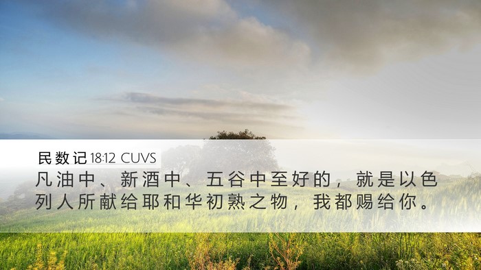 民 数 记 18:12 CUVS Desktop Wallpaper - 凡 油 中 、 新 酒 中 、 五 谷 中 至 - Desktop Bible Verse Wallpaper