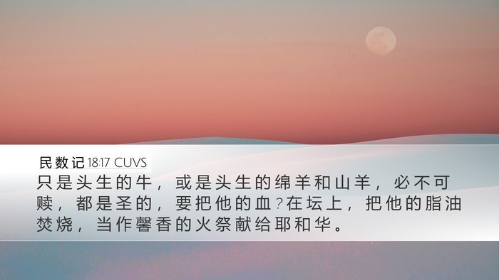 民 数 记 18:17 CUVS Bible Verse Image