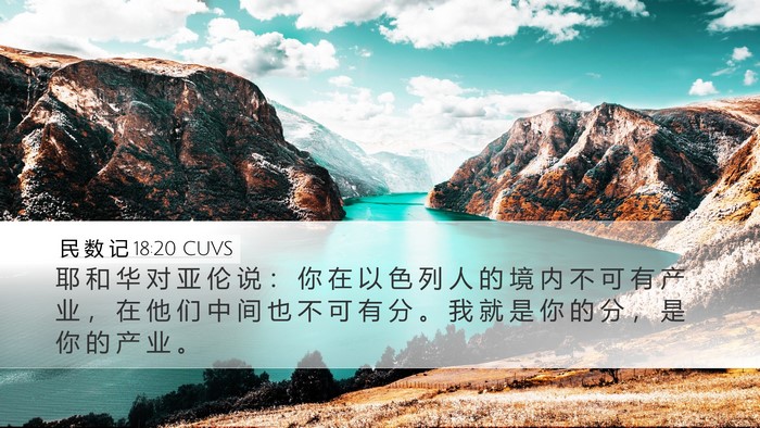 民 数 记 18:20 CUVS Bible Verse Image