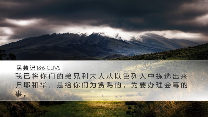 民 数 记 18:6 CUVS Bible Verse Image