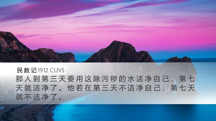 民 数 记 19:12 CUVS Desktop Wallpaper - 那 人 到 第 三 天 要 用 这 除 污 秽 - Desktop Bible Verse Wallpaper