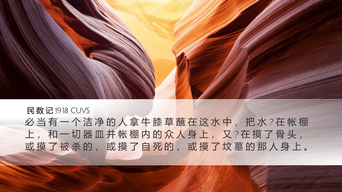 民 数 记 19:18 CUVS Bible Verse Image