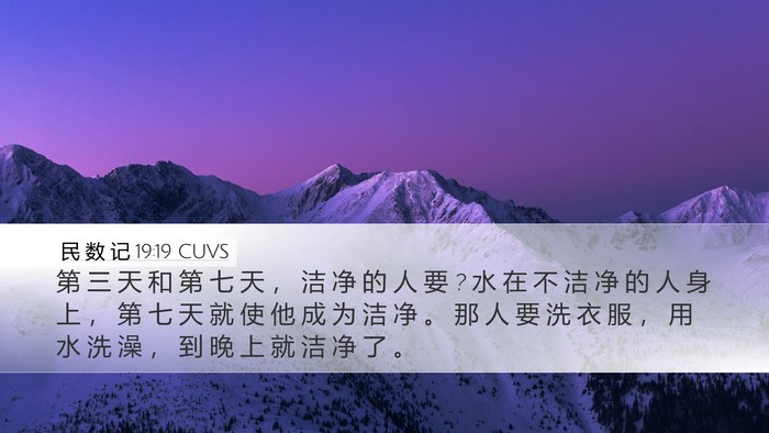 民 数 记 19:19 CUVS Bible Verse Image