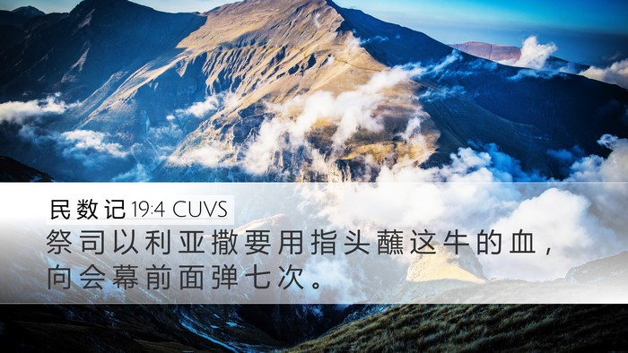 民 数 记 19:4 CUVS Bible Verse Image