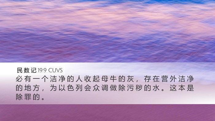民 数 记 19:9 CUVS Desktop Wallpaper - 必 有 一 个 洁 净 的 人 收 起 母 牛 - Desktop Bible Verse Wallpaper