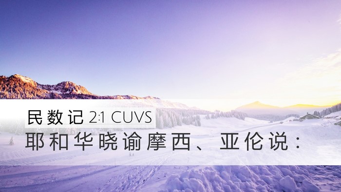 民 数 记 2:1 CUVS Bible Verse Image