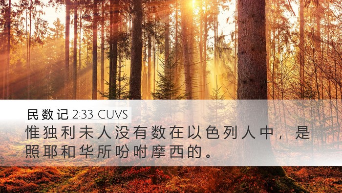 民 数 记 2:33 CUVS Bible Verse Image