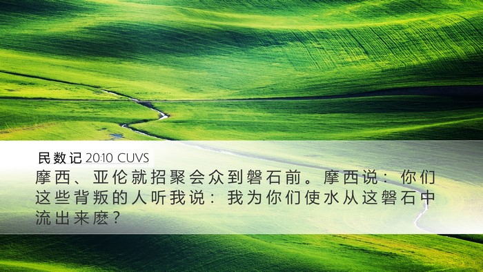 民 数 记 20:10 CUVS Desktop Wallpaper - 摩 西 、 亚 伦 就 招 聚 会 众 到 磐 - Desktop Bible Verse Wallpaper
