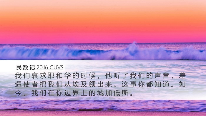 民 数 记 20:16 CUVS Bible Verse Image