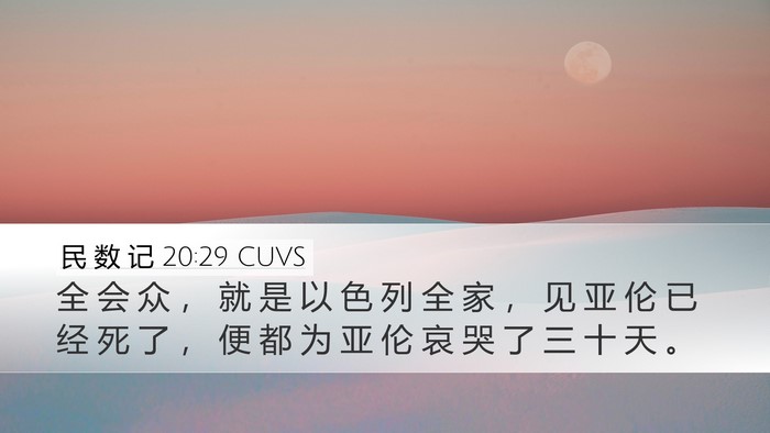 民 数 记 20:29 CUVS Desktop Wallpaper - 全 会 众 ， 就 是 以 色 列 全 家 ， - Desktop Bible Verse Wallpaper