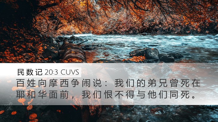 民 数 记 20:3 CUVS Desktop Wallpaper - 百 姓 向 摩 西 争 闹 说 ： 我 们 的 - Desktop Bible Verse Wallpaper