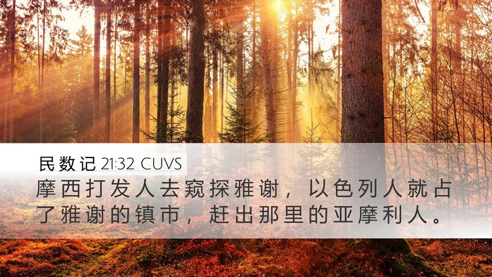 民 数 记 21:32 CUVS Bible Verse Image