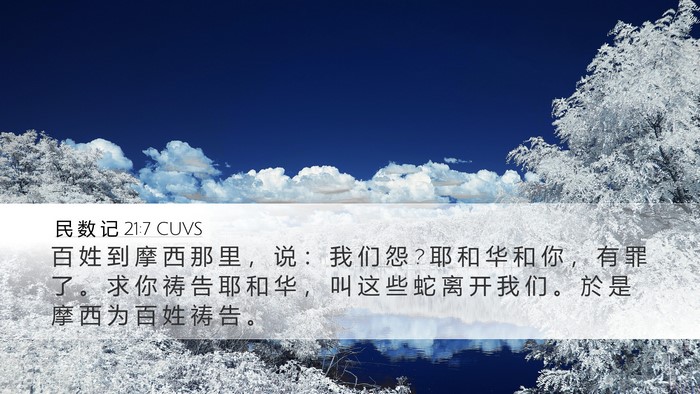 民 数 记 21:7 CUVS Desktop Wallpaper - 百 姓 到 摩 西 那 里 ， 说 ： 我 们 - Desktop Bible Verse Wallpaper