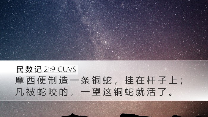 民 数 记 21:9 CUVS Desktop Wallpaper - 摩 西 便 制 造 一 条 铜 蛇 ， 挂 在 - Desktop Bible Verse Wallpaper