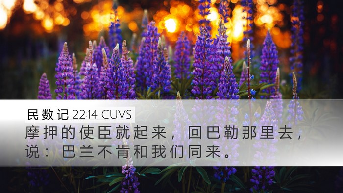 民 数 记 22:14 CUVS Bible Verse Image