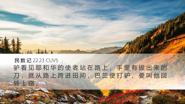 民 数 记 22:23 CUVS Bible Verse Image