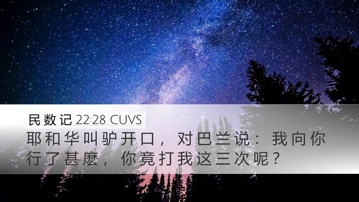 民 数 记 22:28 CUVS Bible Verse Image