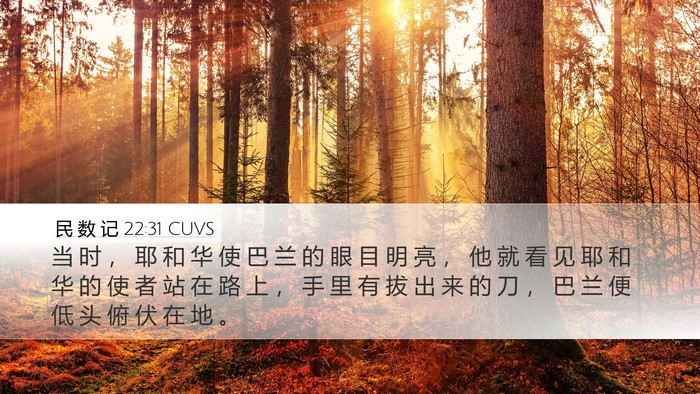 民 数 记 22:31 CUVS Bible Verse Image