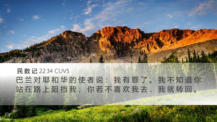 民 数 记 22:34 CUVS Bible Verse Image