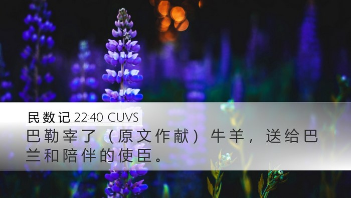 民 数 记 22:40 CUVS Desktop Wallpaper - 巴 勒 宰 了 （ 原 文 作 献 ） 牛 羊 - Desktop Bible Verse Wallpaper
