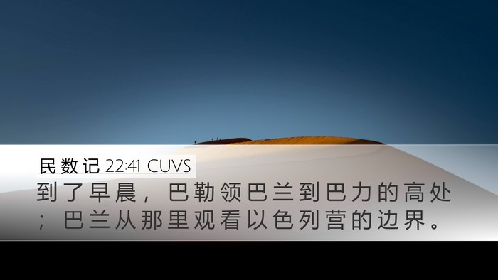 民 数 记 22:41 CUVS Bible Verse Image