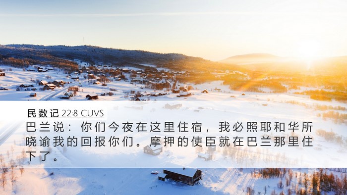 民 数 记 22:8 CUVS Bible Verse Image