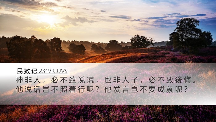 民 数 记 23:19 CUVS Bible Verse Image