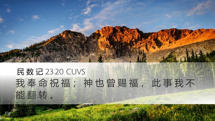 民 数 记 23:20 CUVS Bible Verse Image