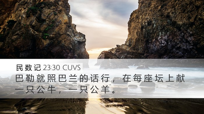 民 数 记 23:30 CUVS Bible Verse Image
