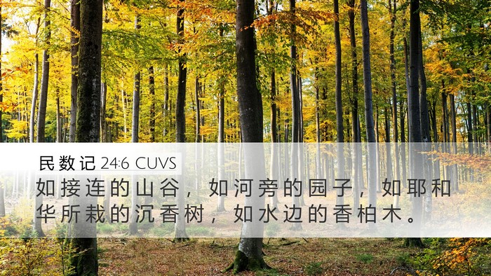 民 数 记 24:6 CUVS Desktop Wallpaper - 如 接 连 的 山 谷 ， 如 河 旁 的 园 - Desktop Bible Verse Wallpaper