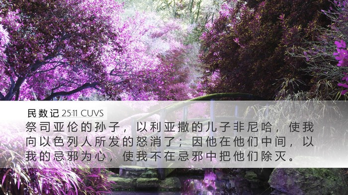 民 数 记 25:11 CUVS Bible Verse Image