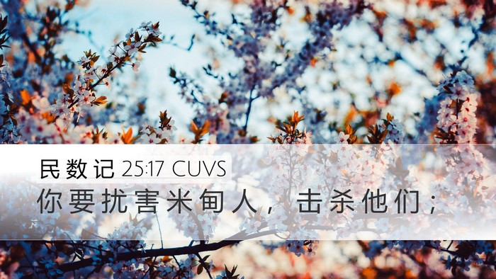 民 数 记 25:17 CUVS Desktop Wallpaper - 你 要 扰 害 米 甸 人 ， 击 杀 他 们 - Desktop Bible Verse Wallpaper